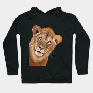 The Lion Hoodie